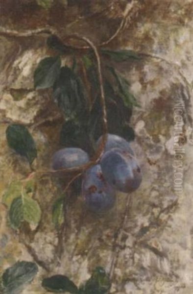 Plums On The Branch - view 1