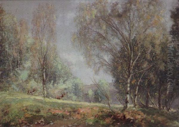 A Haunt Of The Red Deer - view 1