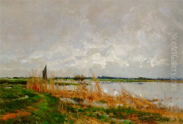 Across The Broads - view 1