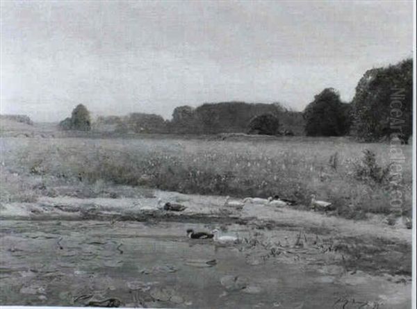 The Duck Pond - view 1