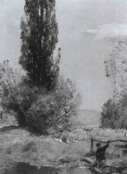 The Young Angler - view 1