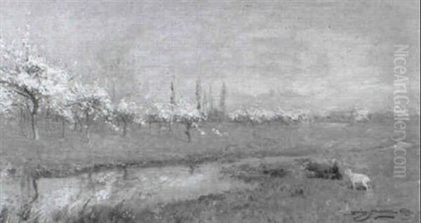 Spring Landscape With Sheep - view 1