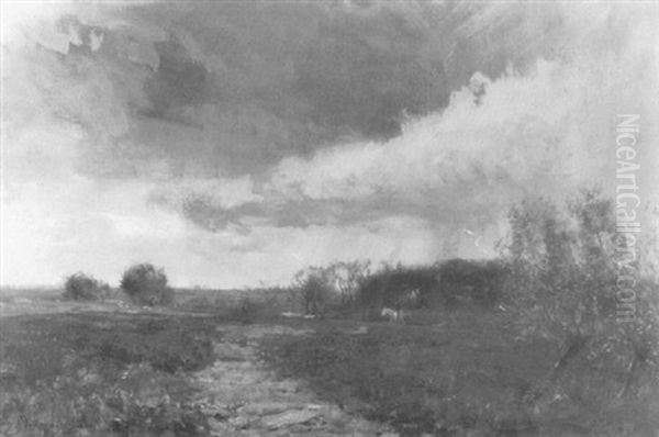 A Storm On The Marais-picardy - view 1