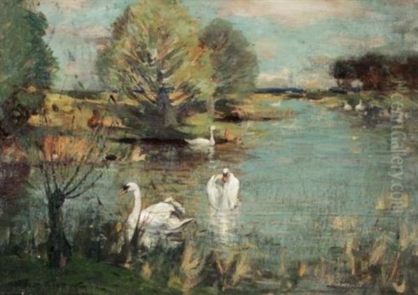 The Swan Lake - view 1