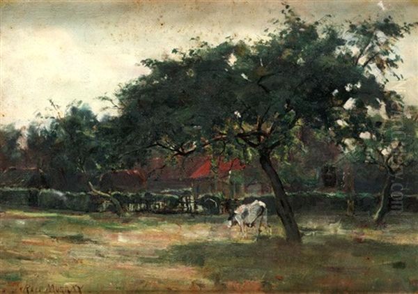 A Sunlit Pasture - view 1