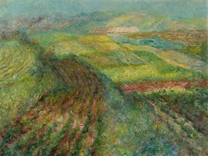 Wide Landscape Wide Landscape