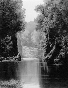 Fisherman By A Wooded Lake