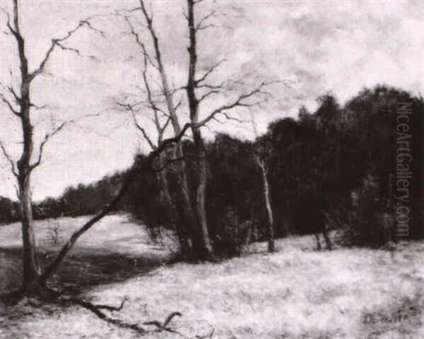 Herbstlandschaft - view 1