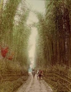 Japan. Described And Illustrated By The Japanese by Frank Bindley