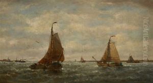 Scheldeboot Et Vapeur Par Temps Calme