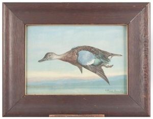 Mallard Duck By Gustave "guss" Muss-arnolt (american, 1858 - 1927)