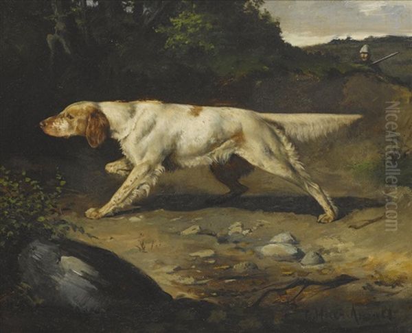 Setter On Point With Hunter In Background - view 1