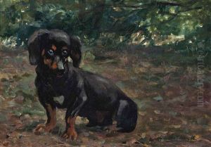 A Dachshund In A Sunlit Wood