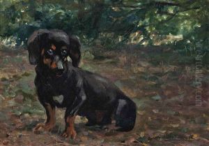 A Dachshund Before A Sunlit Woodland Glade