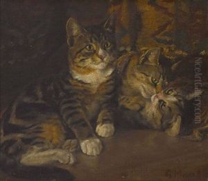 Drei Katzchen Drei Katzchen