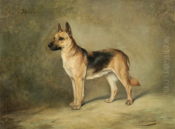 Blanca, A German Shepherd Dog - view 1