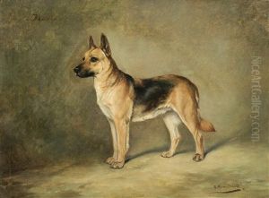 Blanca, A German Shepherd Dog Blanca, A German Shepherd Dog