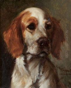 An Orange And White English Setter by Gustav Muss-Arnolt