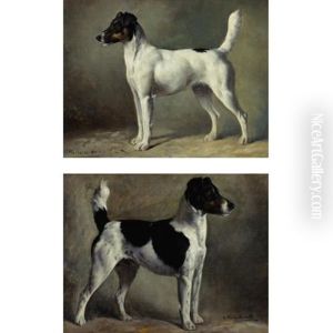 Champion Norfolk Terriers Victorious (+ Clorita; Pair) by Gustav Muss-Arnolt