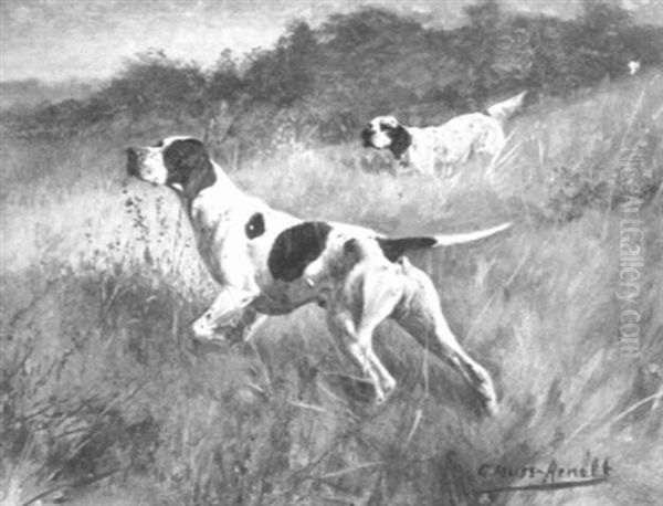 On The Alert/dogs Working A Field - view 1