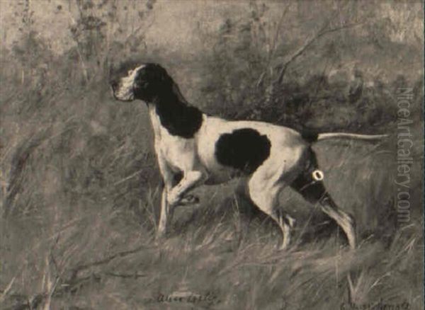 Champion Devonshire Dan - view 1