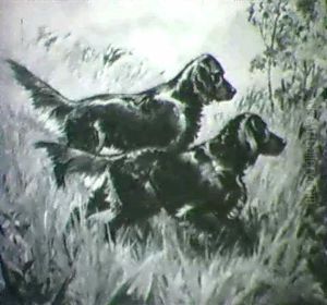 Hunting Dogs