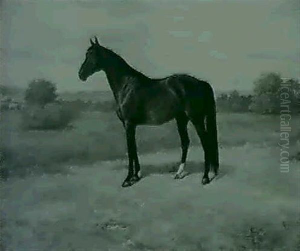 Chestnut Horse In Landscape - view 1
