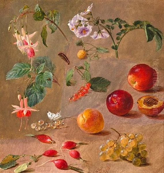 Fruit, Flowers And Insects (study) - view 1