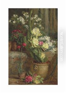 The Flowering Cactus