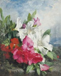 Rhododendrons