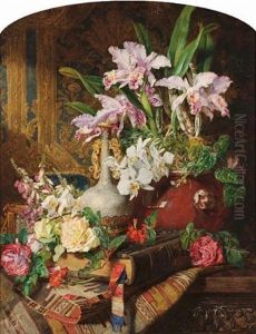 Orchids