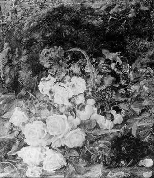 A Riot Of Flowers - view 1