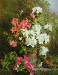 Still Life With Pink And White Azaleas