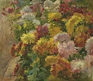 Le Massif De Chrysanthemes