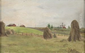 Field Landscape by Elias Muukka