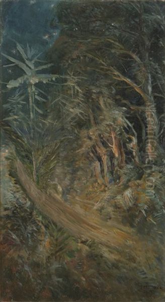 Forest - view 1
