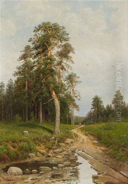 Footpath - view 1