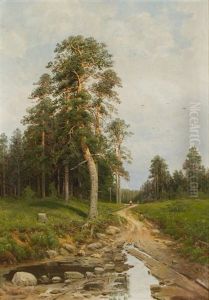 Footpath by Elias Muukka