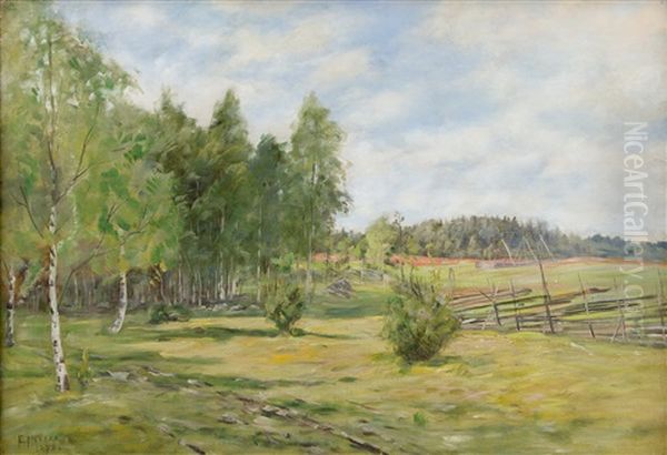 Birch Trees In A Summer Landscape - view 1