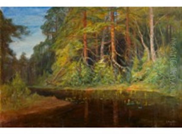 Forest Pond - view 1