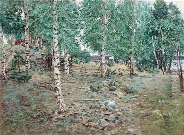 Birches - view 1