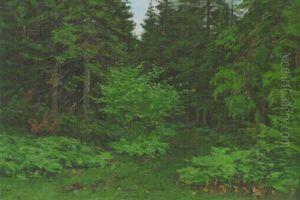 Metsapolku by Elias Muukka
