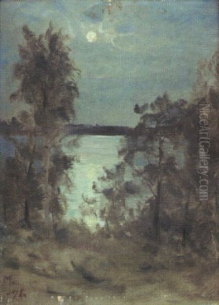 Mansken - view 1