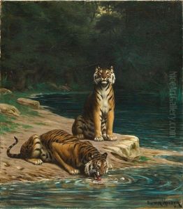 Zwei Tiger An Einer Wasserstelle Im Schattigen Unterholz
