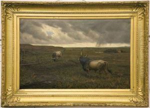Deux Taureaux Sous Un Ciel D'orage