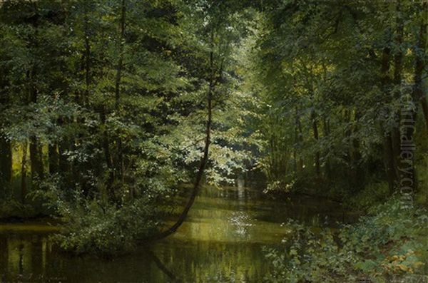 Forest River - view 1