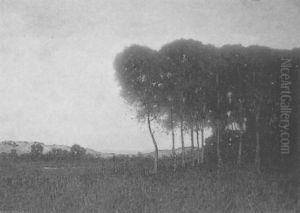 A View Of The Dunes