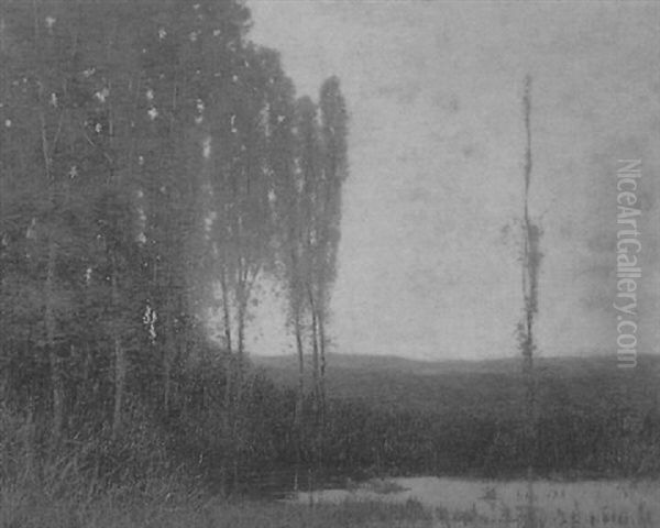 Misty Landscape With Pond - view 1