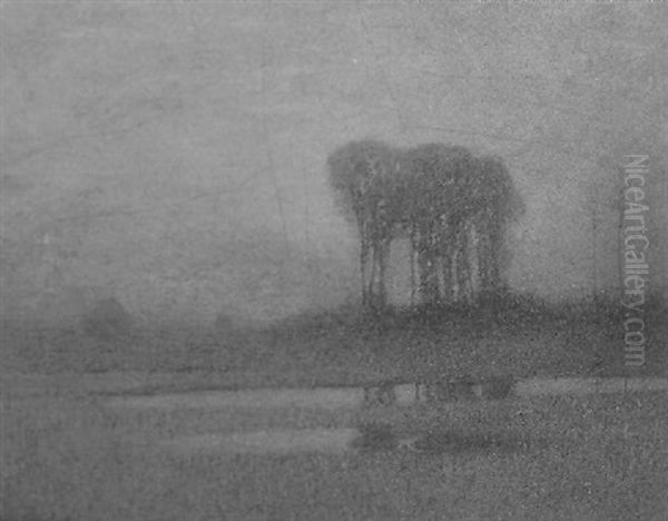 Solitude Of The Marshes - view 1