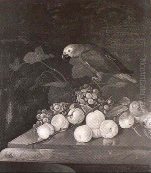 A Still Life Of A Parrot, Grapes, Peaches And Apples On A Marble Ledge - view 1